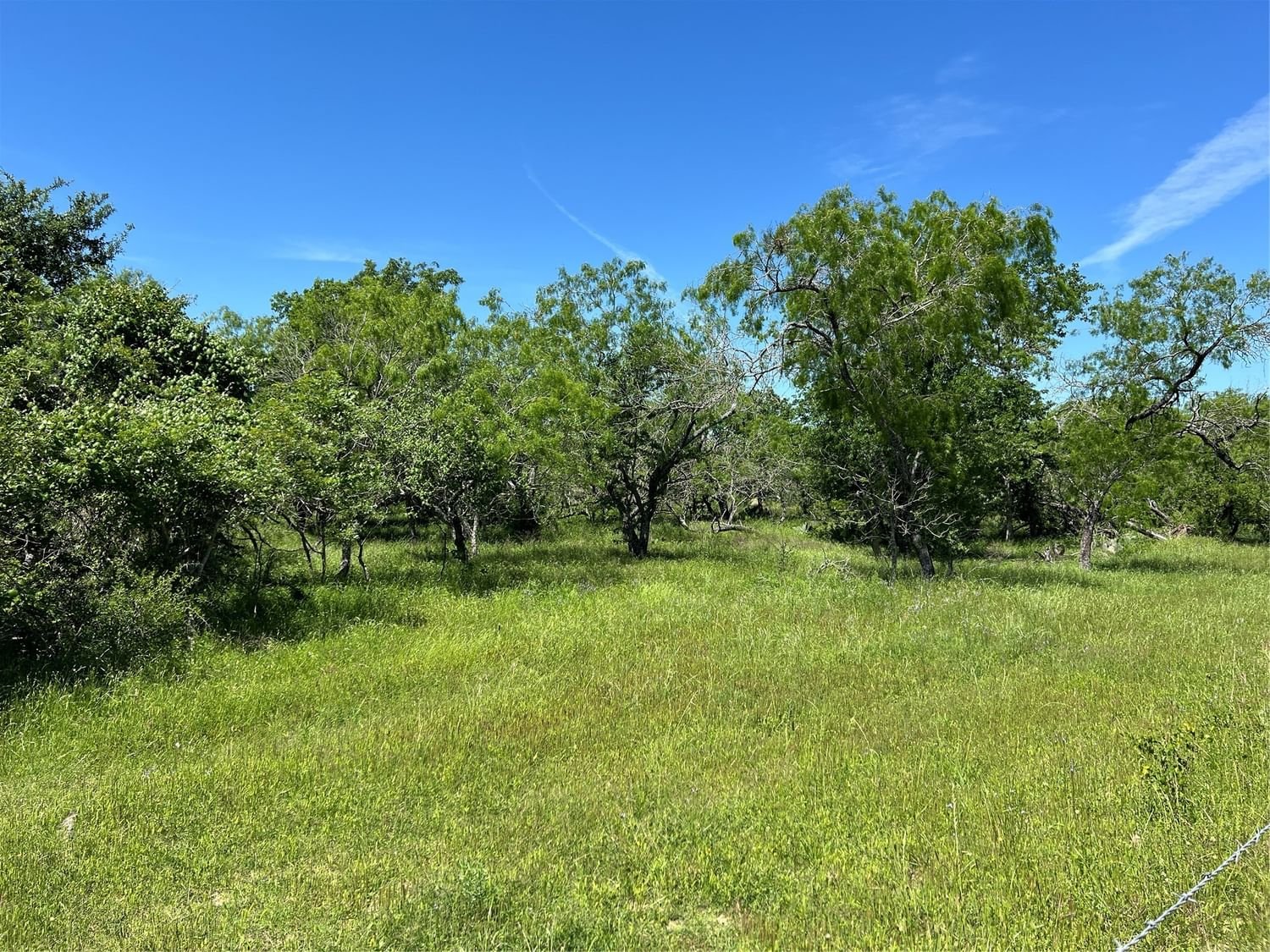 Real estate property located at Tract 6 CR 482, Gonzales, Zumwalt, Gonzales, TX, US