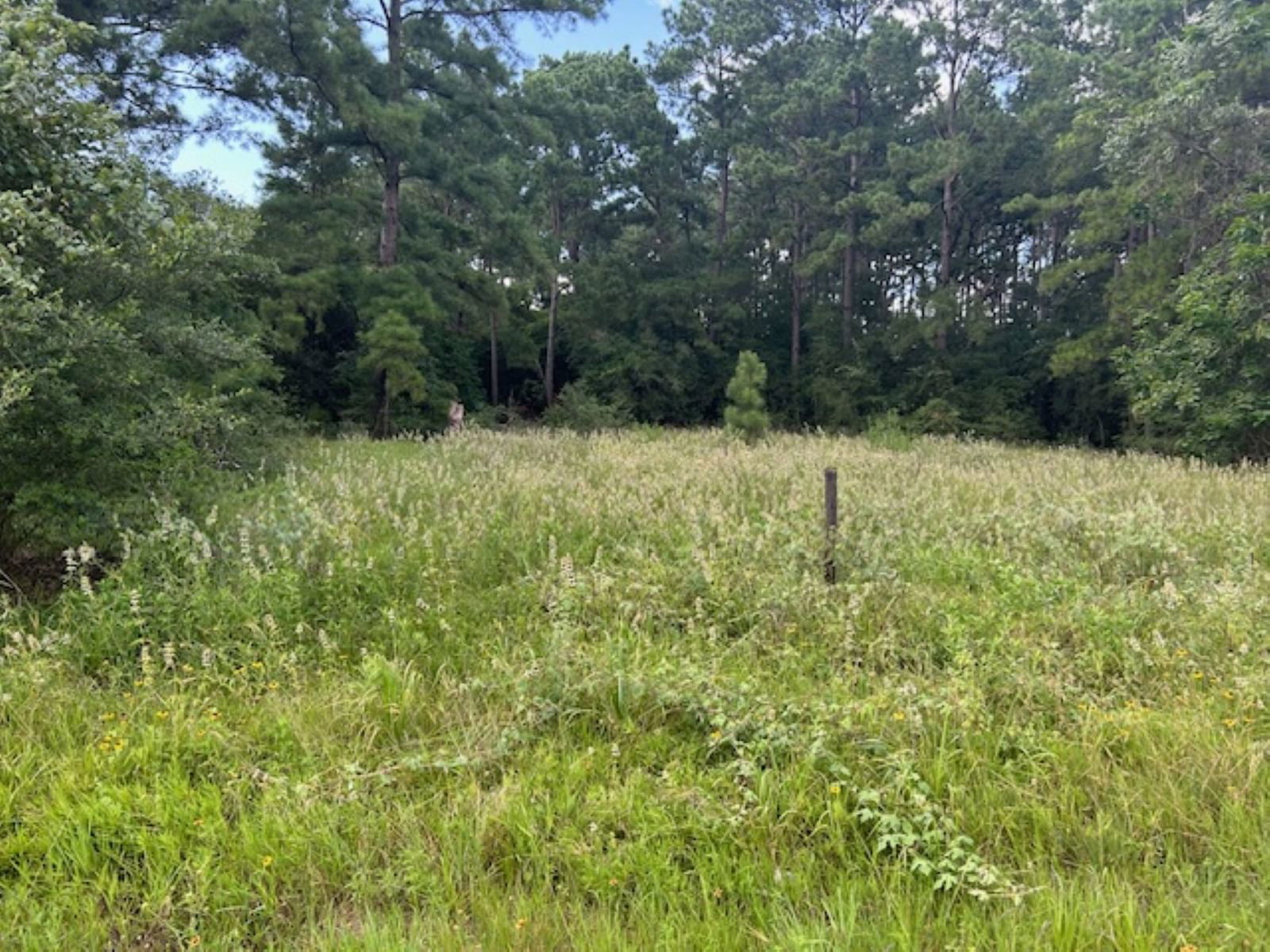 Real estate property located at 5790 N Hill, Grimes, W Magnolia Forest Sec 13, Navasota, TX, US