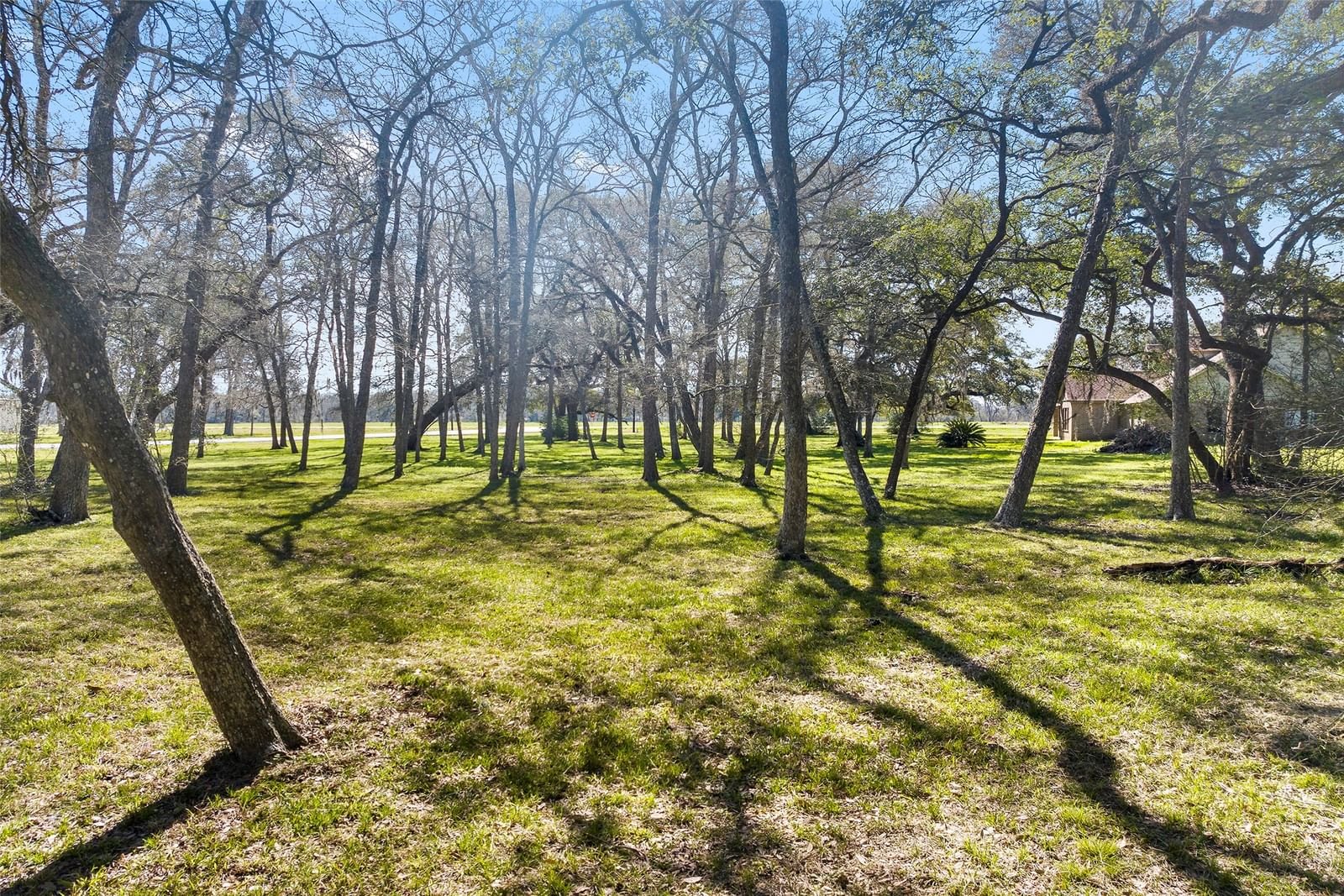 Real estate property located at 13528 E Brazos Bend, Fort Bend, Brazos Bend Oaks, Needville, TX, US