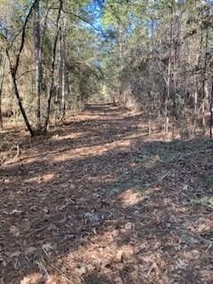 Real estate property located at 4883 Fm 1374, Walker, None, Huntsville, TX, US