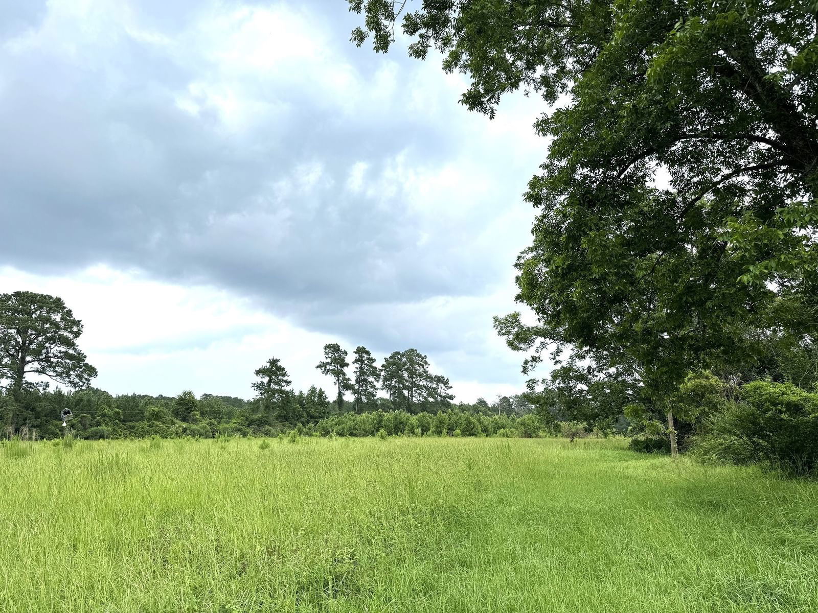 Real estate property located at TBD County Road 1915, Tyler, Rural, Warren, TX, US