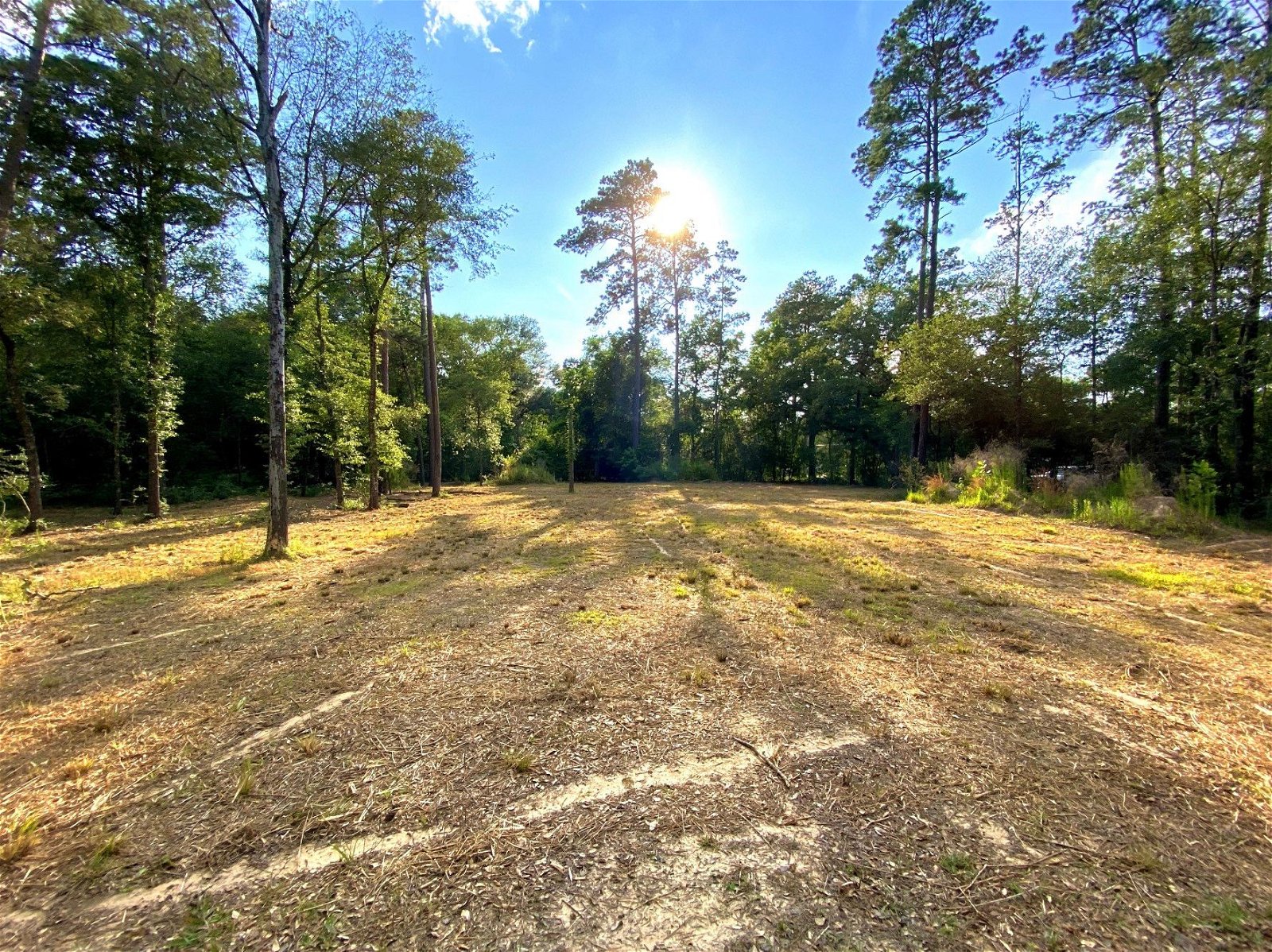Real estate property located at 20,21,22 Wood Hollow Drive, Montgomery, Porter, TX, US