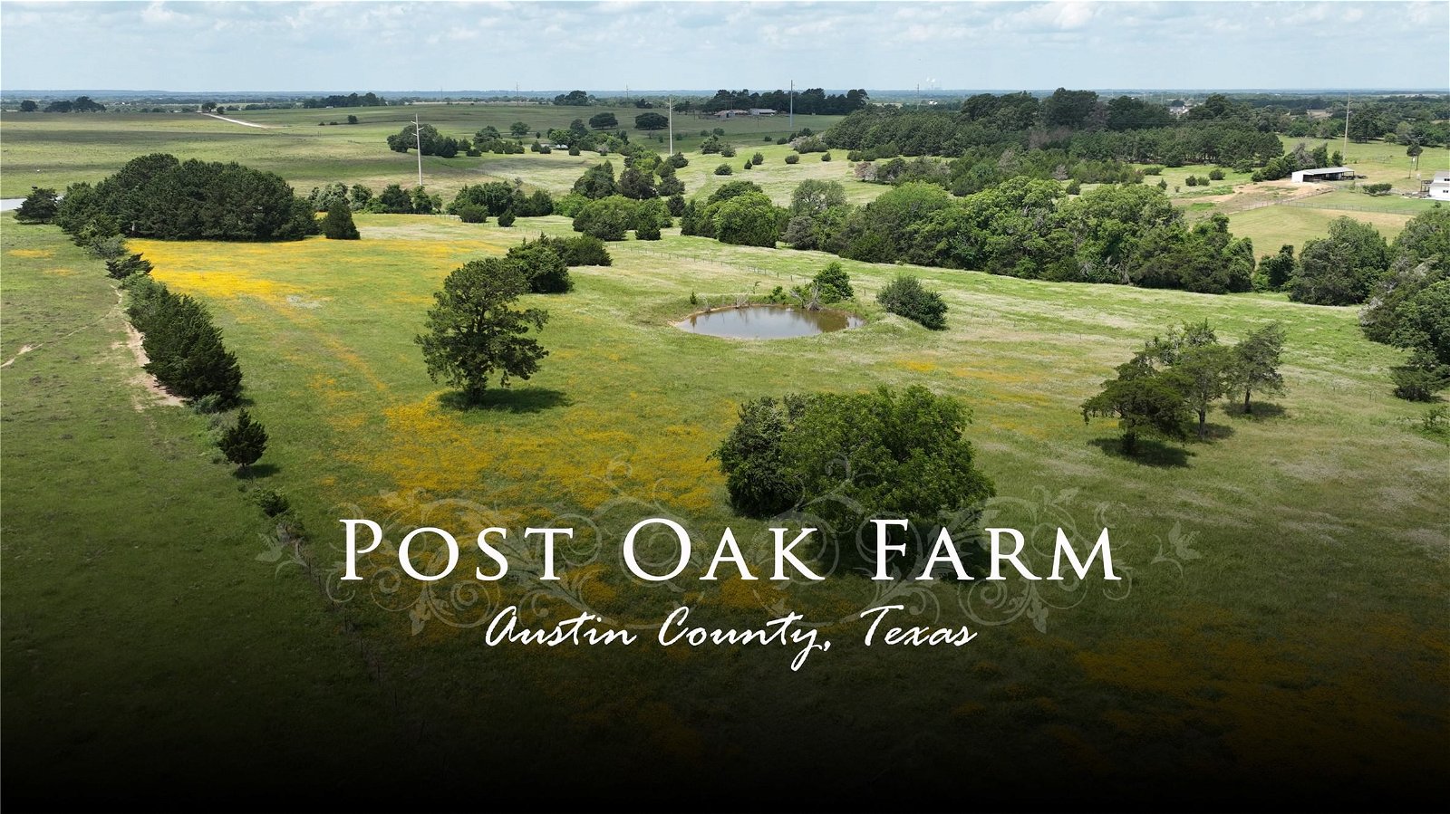Real estate property located at 3561 Post Oak Point, Austin, New Ulm, TX, US