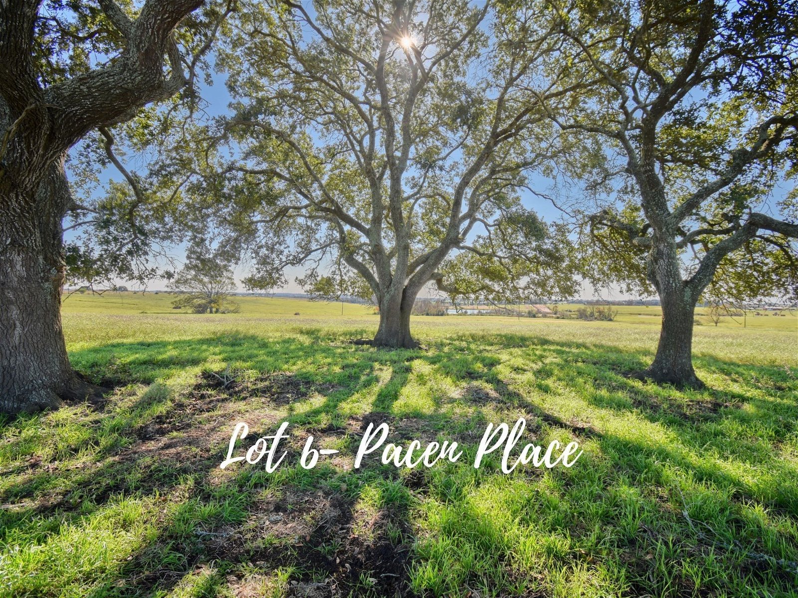 Real estate property located at TBD 6 Pacen Place, Austin, N/A, Chappell Hill, TX, US