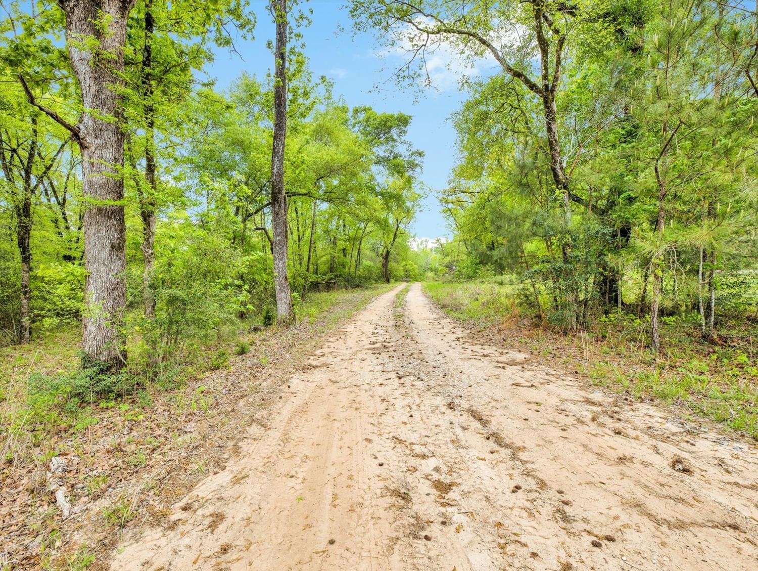 Real estate property located at TBD Angus Ranch Rd, Walker, N/A, Huntsville, TX, US