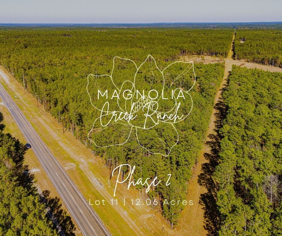 Real estate property located at 0211 FM 3459, Polk, Magnolia Creek Ranch, Onalaska, TX, US