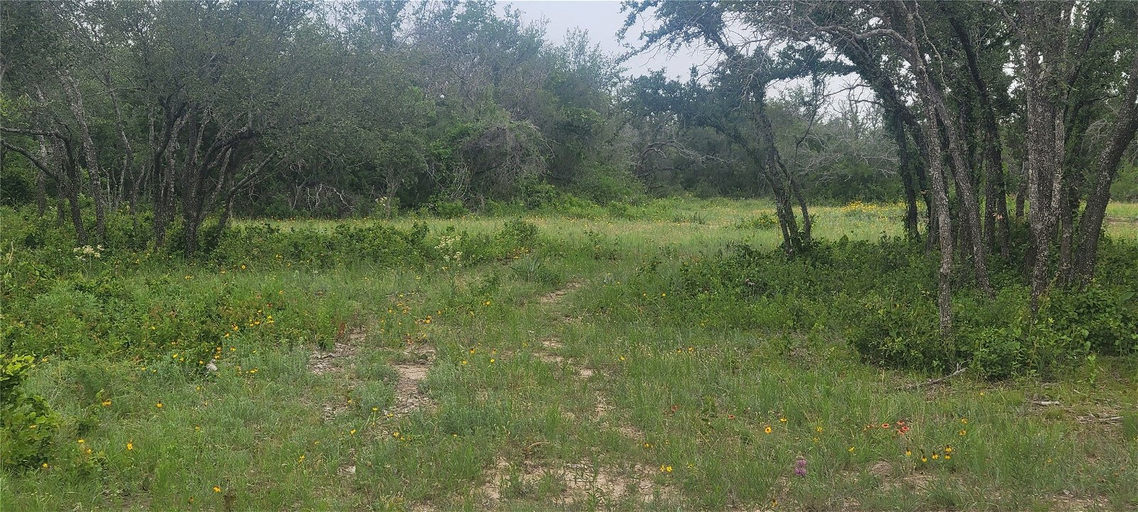 Real estate property located at 0 Twisted Creek, Comanche, Gustine, TX, US