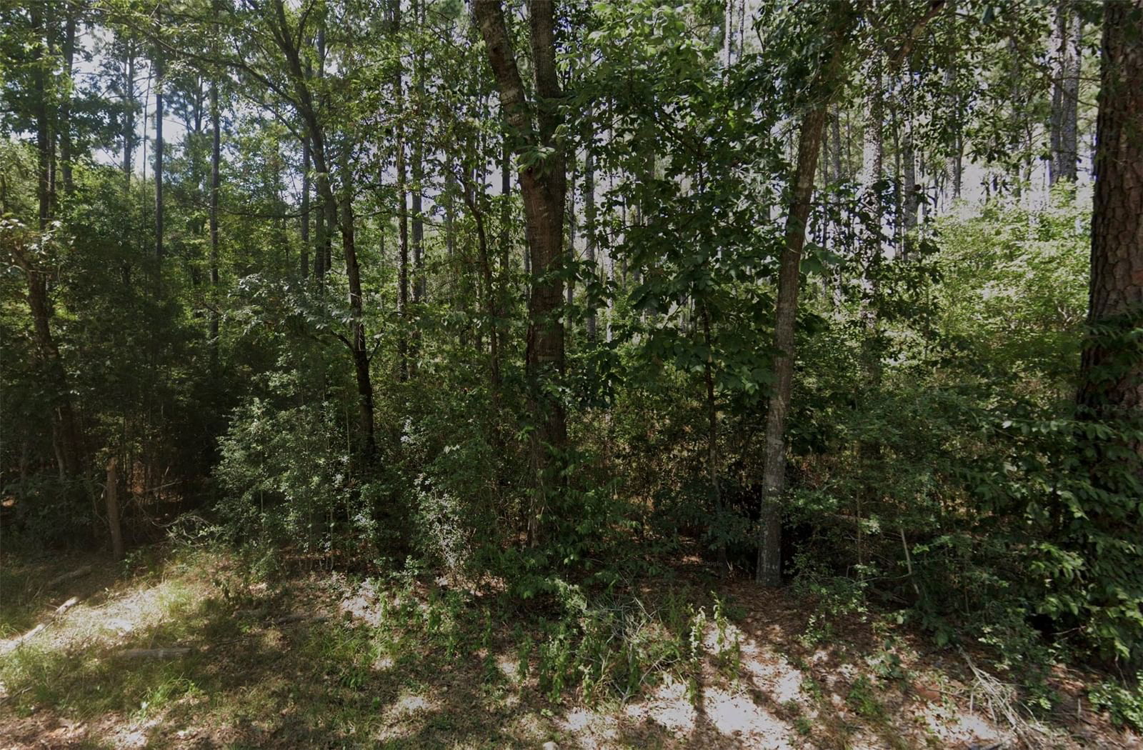 Real estate property located at LOT 16 HIDDEN FOREST EST 04, Montgomery, Hidden Forest Estate 04, Montgomery, TX, US