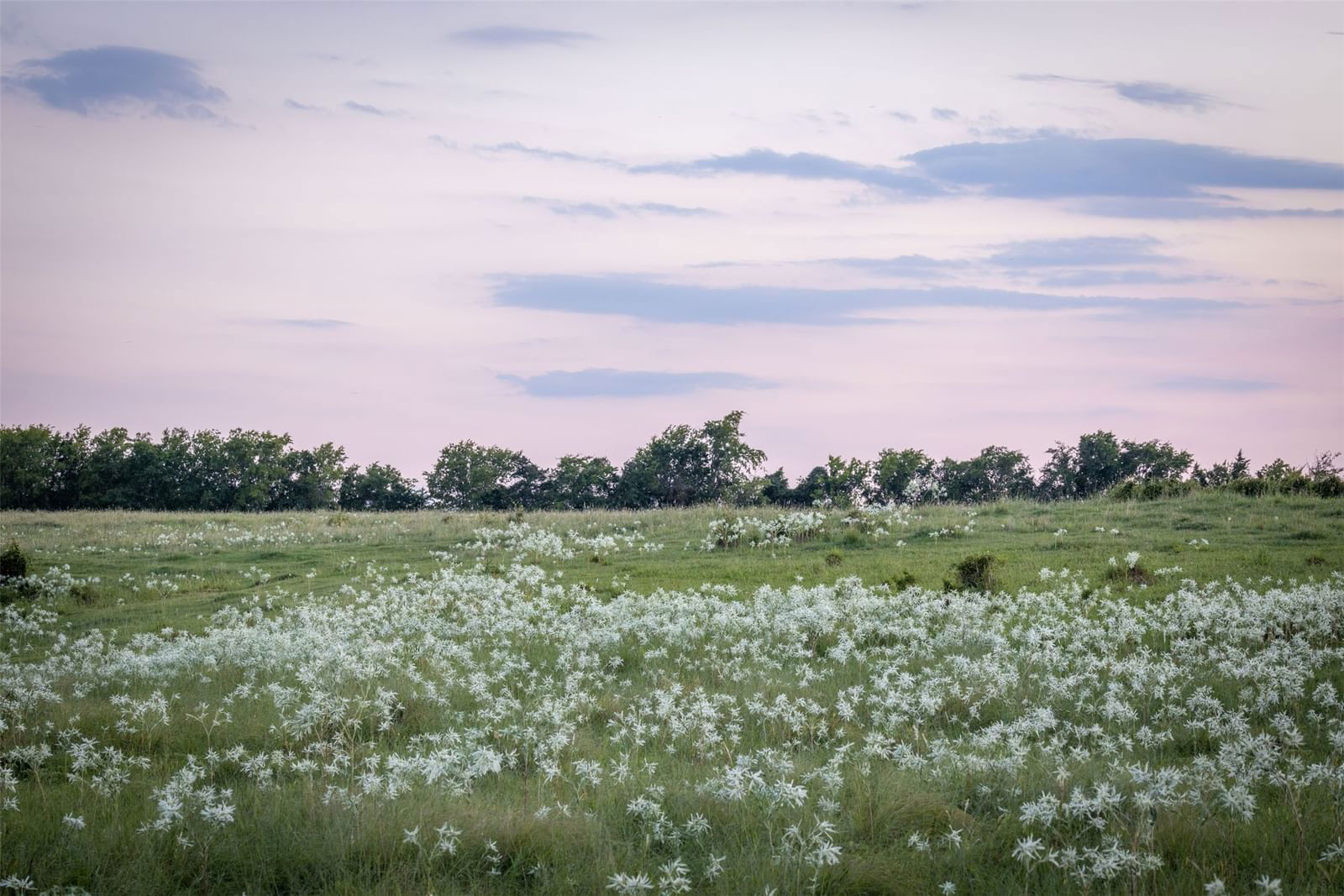 Real estate property located at Lot 2A Vineyard View, Fayette, Tree Tops, Carmine, TX, US