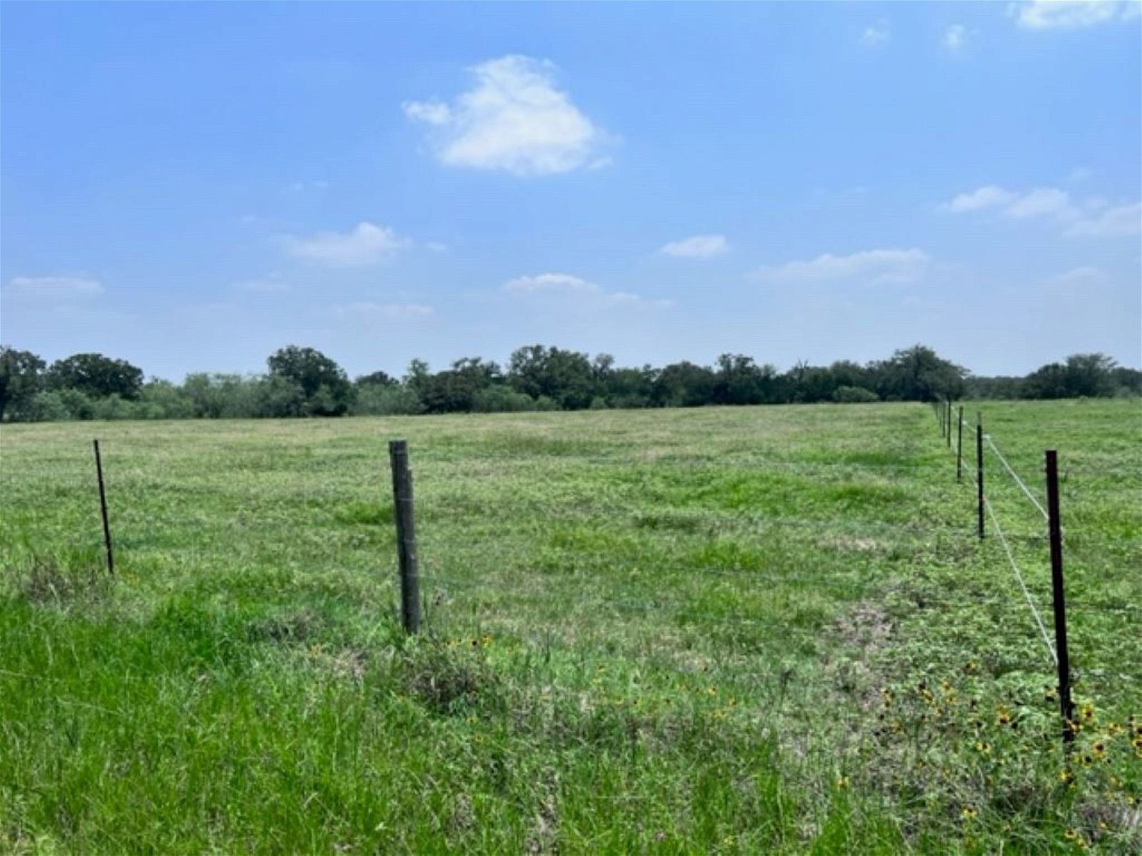 Real estate property located at TBD CR 410, Burleson, Somerville, TX, US