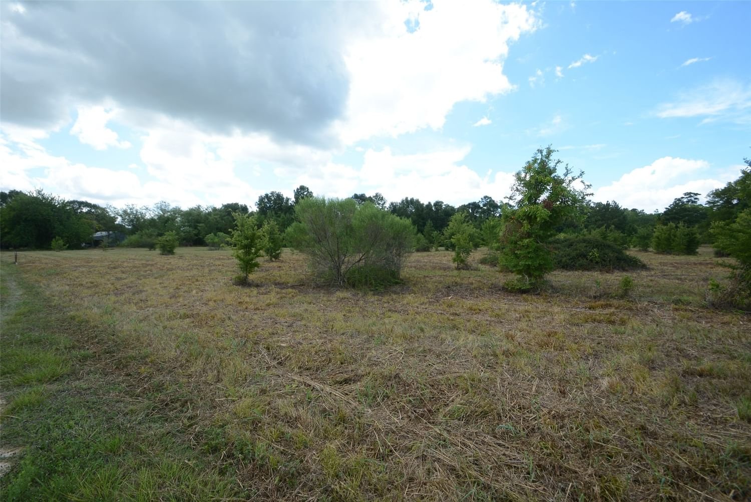 Real estate property located at TBD Old Highway 105 W, Montgomery, NA, Montgomery, TX, US