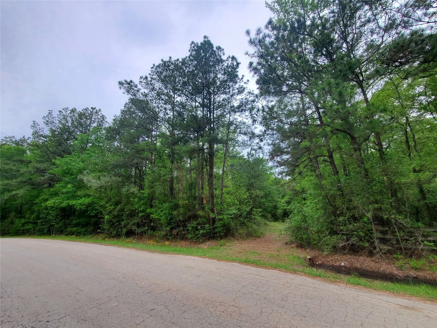 Real estate property located at 1.25 Acres Crystal Springs, Montgomery, Crystal Spgs 01, Conroe, TX, US