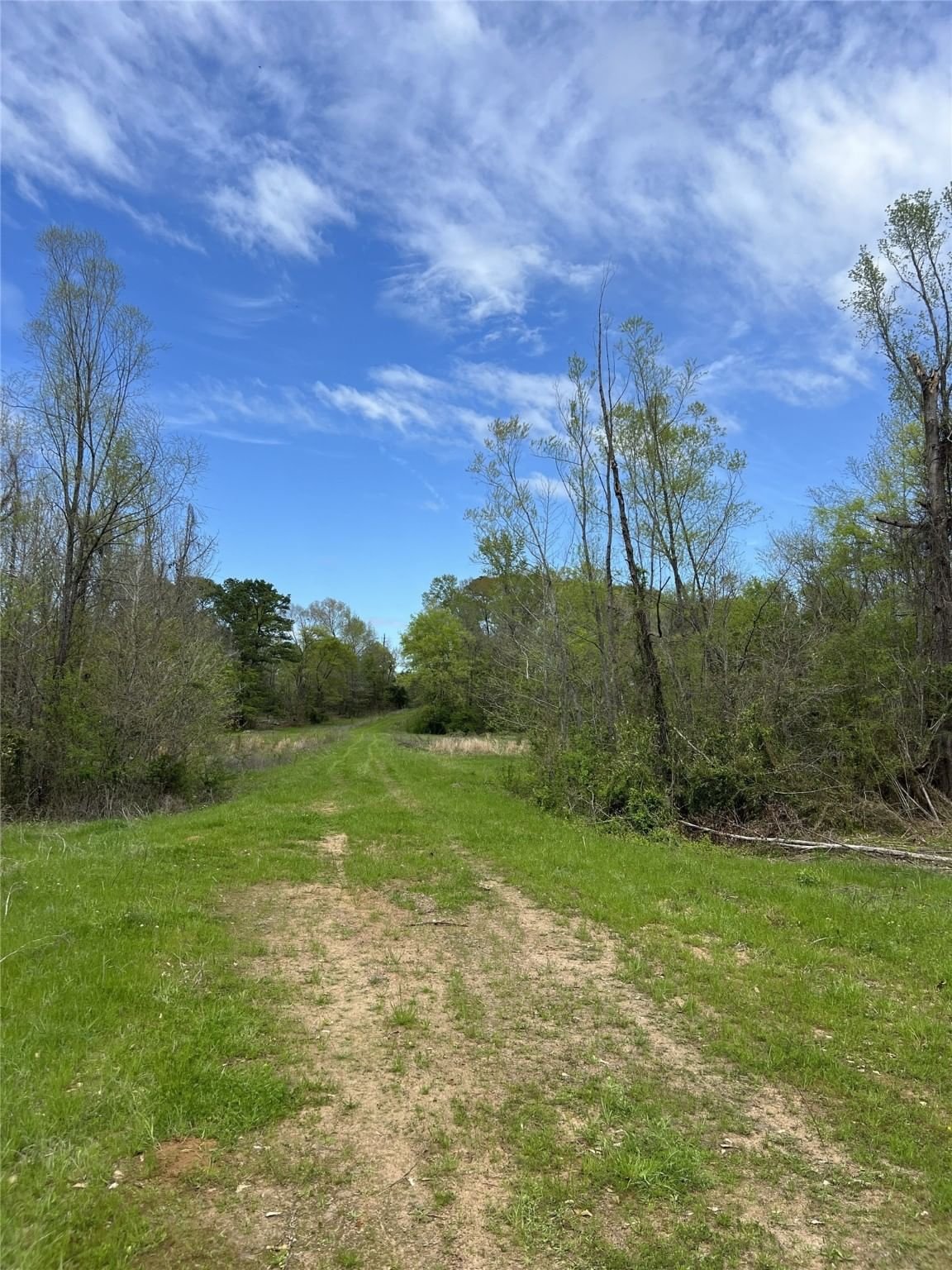 Real estate property located at TBD COUNTY ROAD 480D, Rusk, NA, Henderson, TX, US