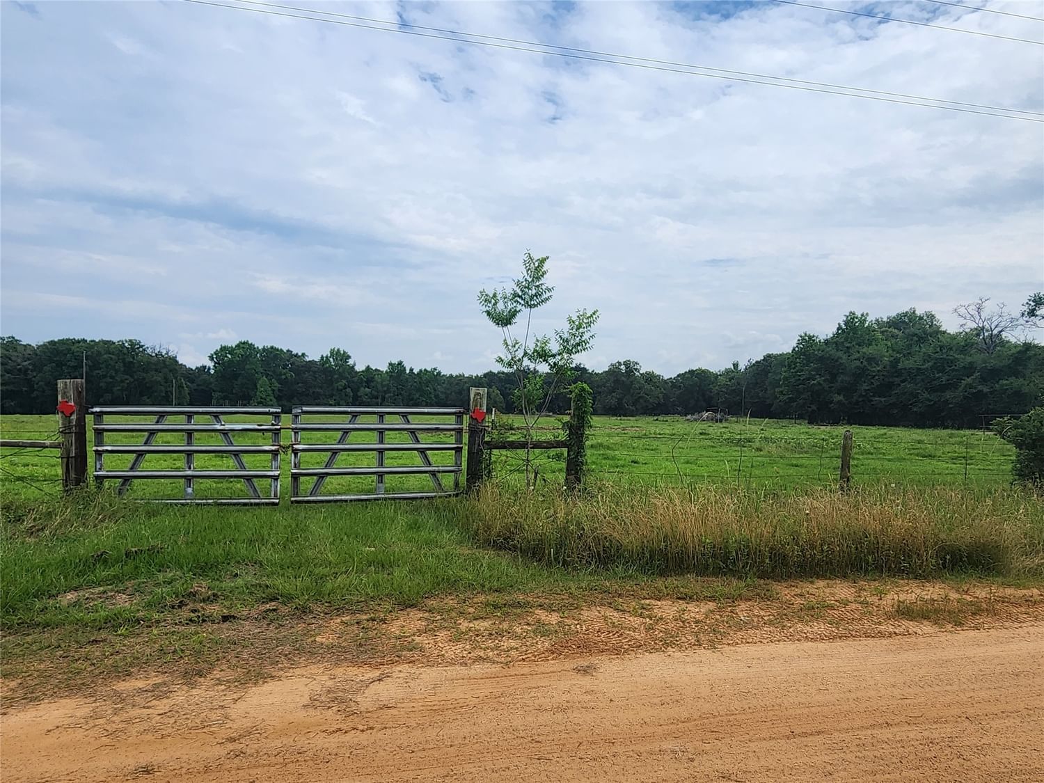 Real estate property located at TBD Cr 2263, Houston, Grapeland, TX, US