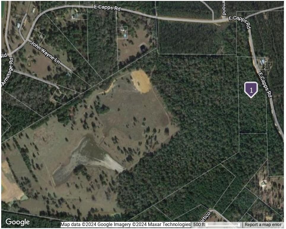 Real estate property located at Lot 1 Capps, Polk, Southland Plantation, Livingston, TX, US