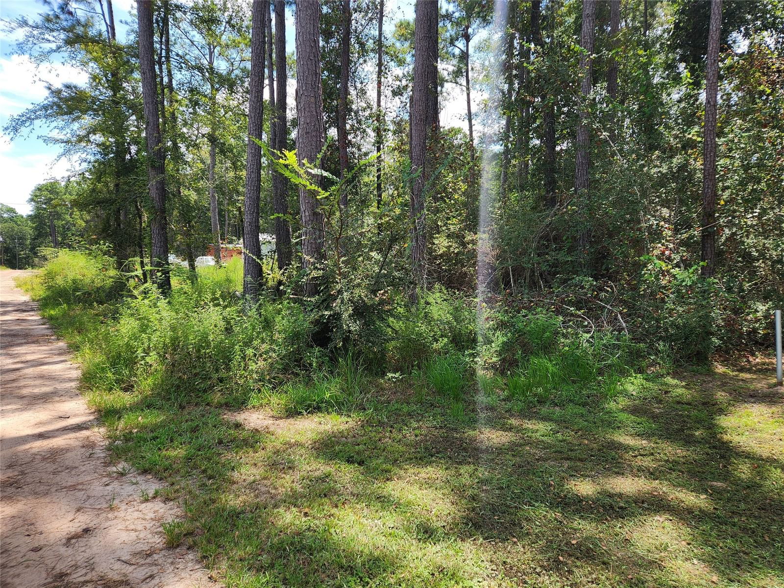 Real estate property located at Lot 7 Coral Bean, Grimes, Pinebrook, Plantersville, TX, US