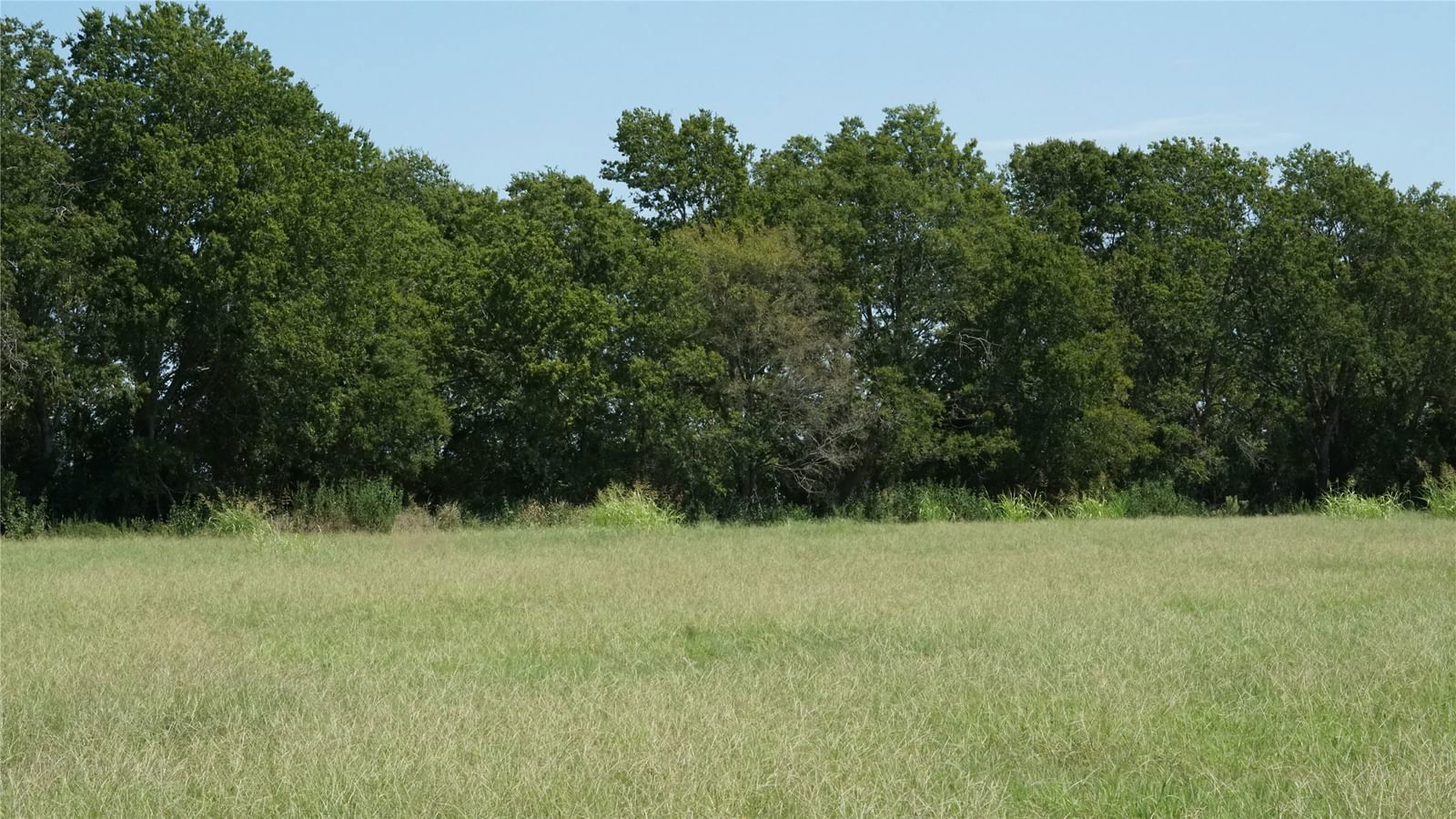 Real estate property located at TBD County Road 328, Burleson, See Private Remarks, Caldwell, TX, US