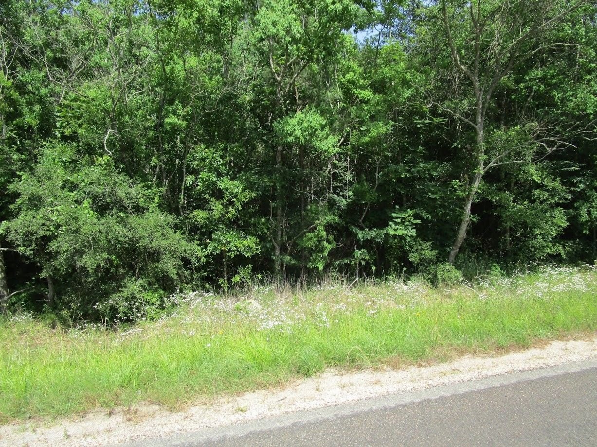 Real estate property located at 0 Hwy 146 N West Lot, Liberty, J D Martinez-1, Liberty, TX, US