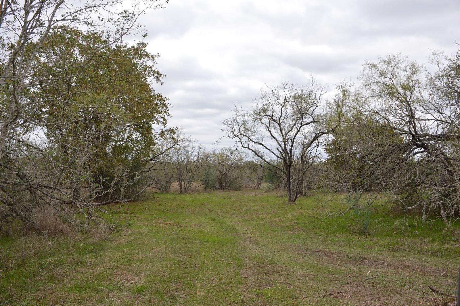 Real estate property located at 00020 Fawn Oaks, Grimes, A0471-1 T WALKER, Iola, TX, US