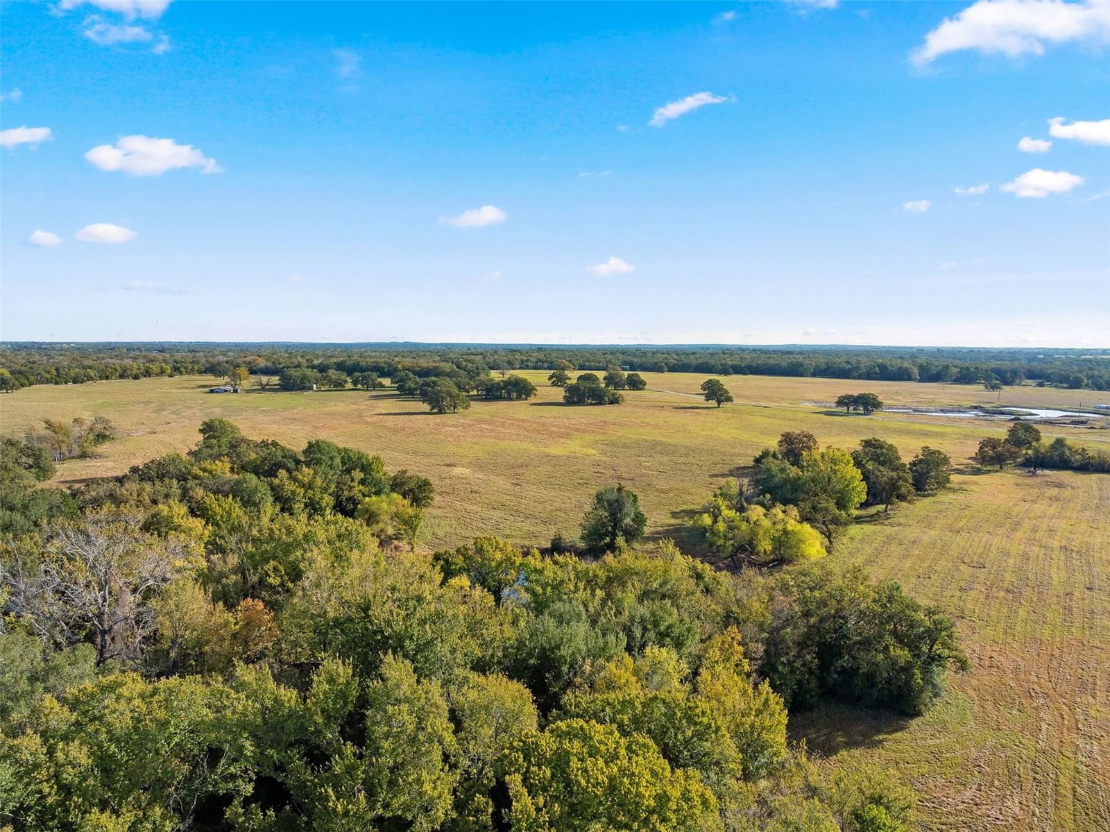 Real estate property located at 0000 CR 269, Falls, Herrold Dennis, Bremond, TX, US