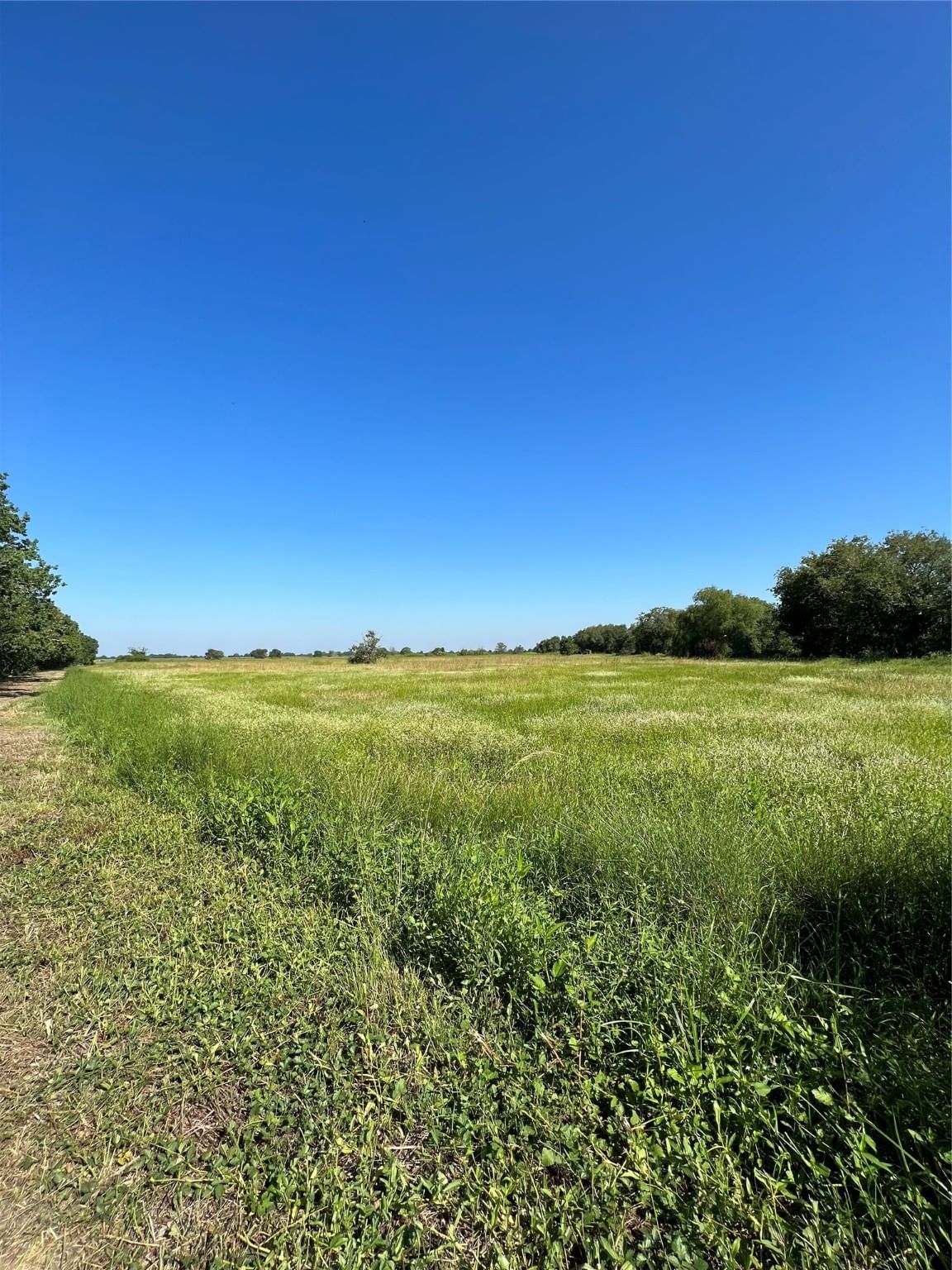 Real estate property located at 0002 FM 3013, Colorado, (RUR 3A-1) Rural Region 3A Nbhd 1, Eagle Lake, TX, US