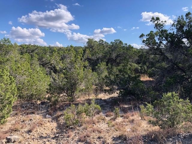 Real estate property located at 300 Onion Creek, Blanco, The Divide, Blanco, TX, US