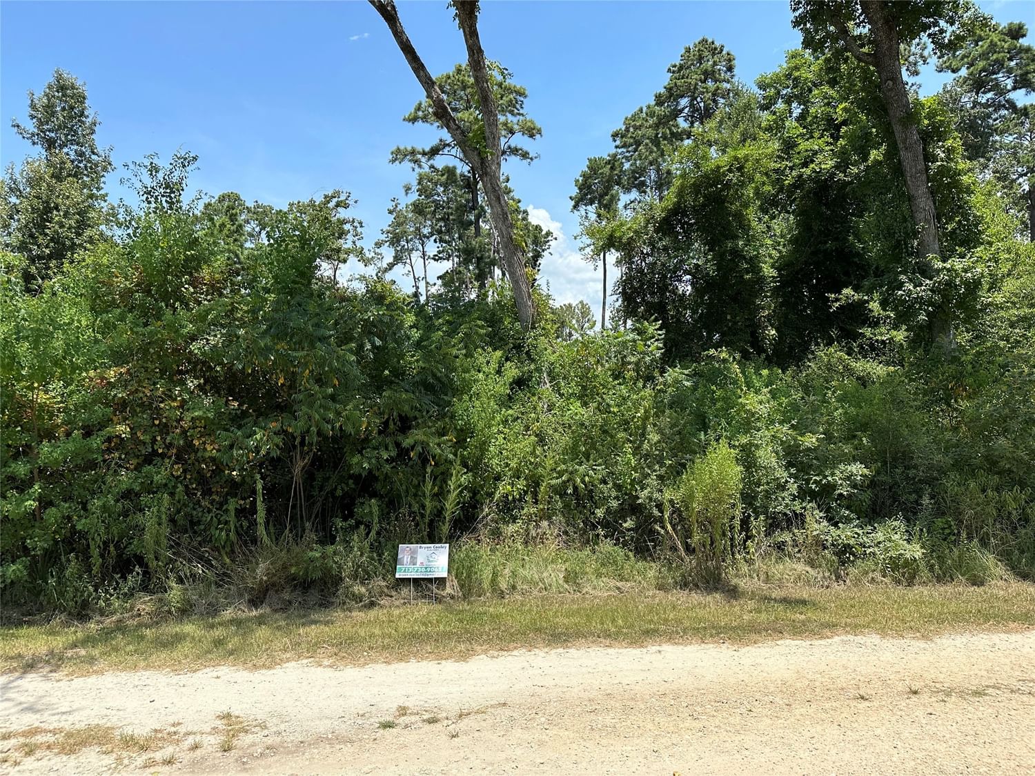 Real estate property located at Lot 42 Hereford, Polk, Onalaska, TX, US