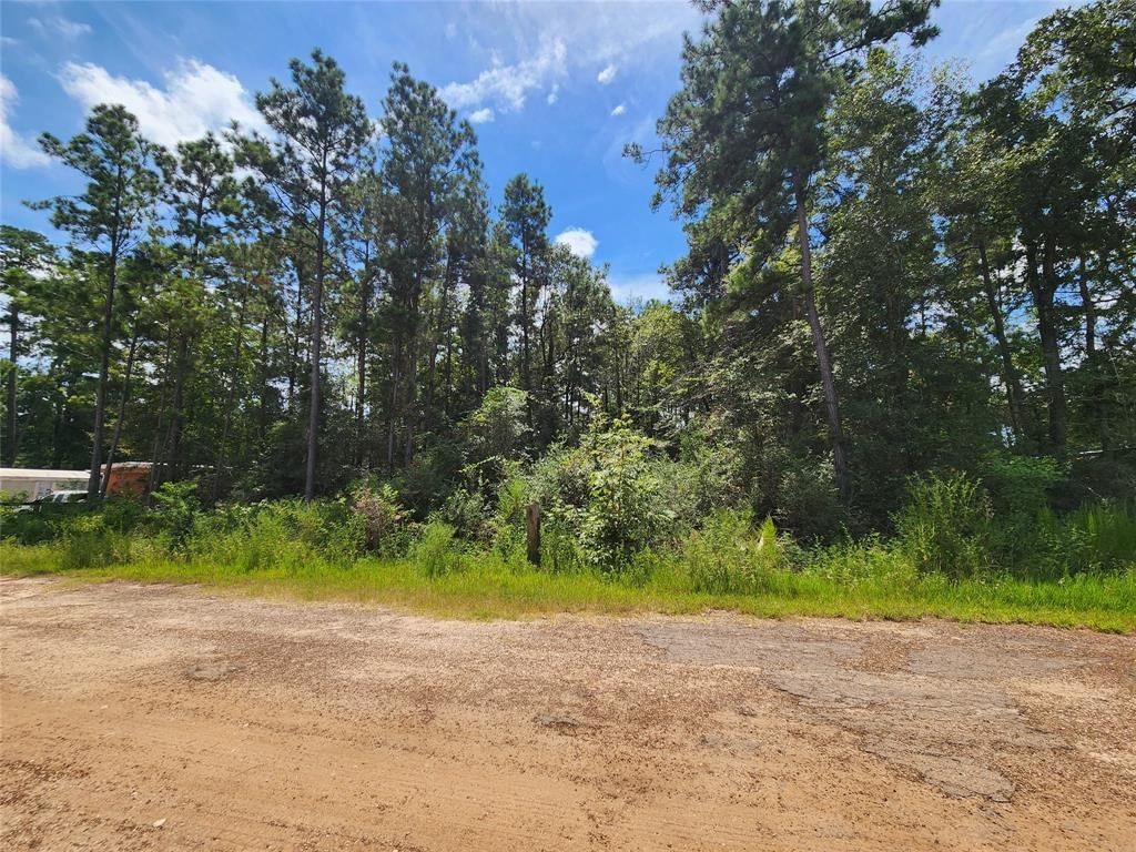 Real estate property located at 01 Hollybrook, Grimes, Pinebrook, Plantersville, TX, US