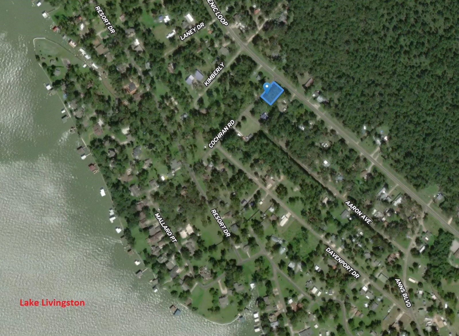 Real estate property located at 133 Ernest Cochran, Polk, Nugents Cove Sec 2, Livingston, TX, US