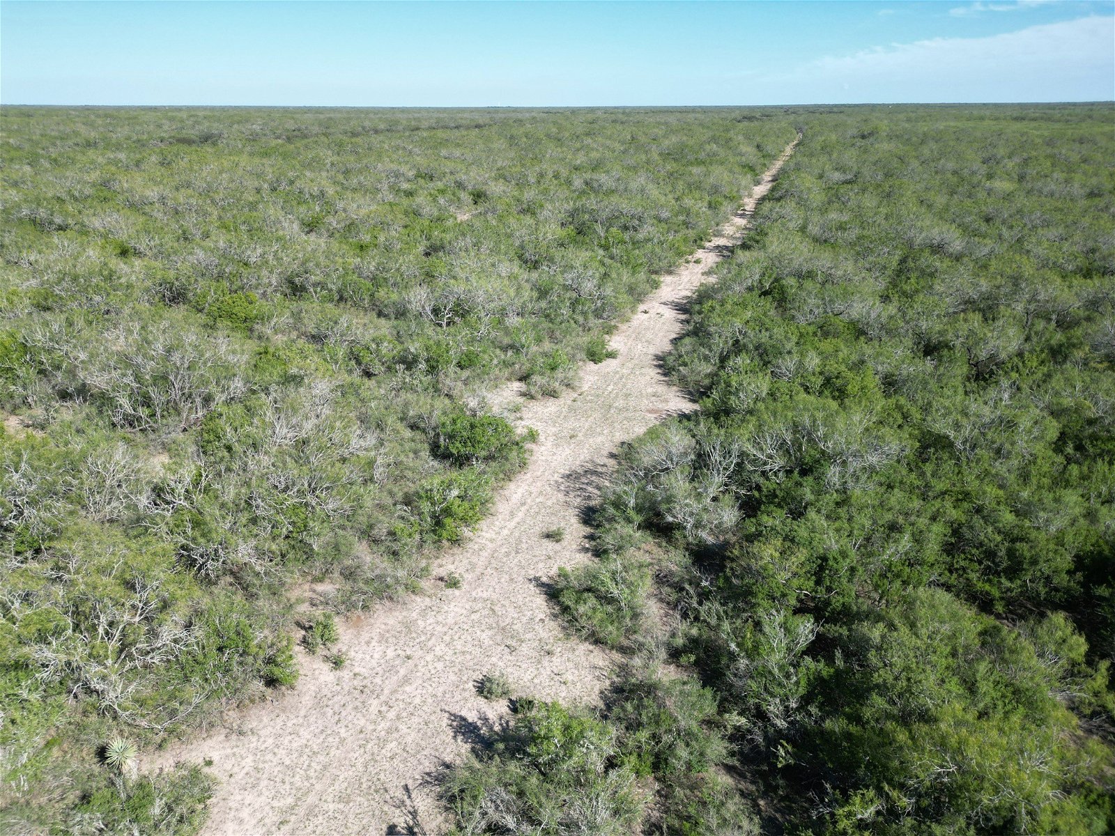 Real estate property located at TBD County Road 268, Duval, N/A, Realitos, TX, US
