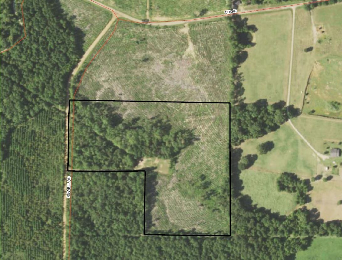 Real estate property located at 000000 County Road 307, Panola, Powell Plantation, De Berry, TX, US