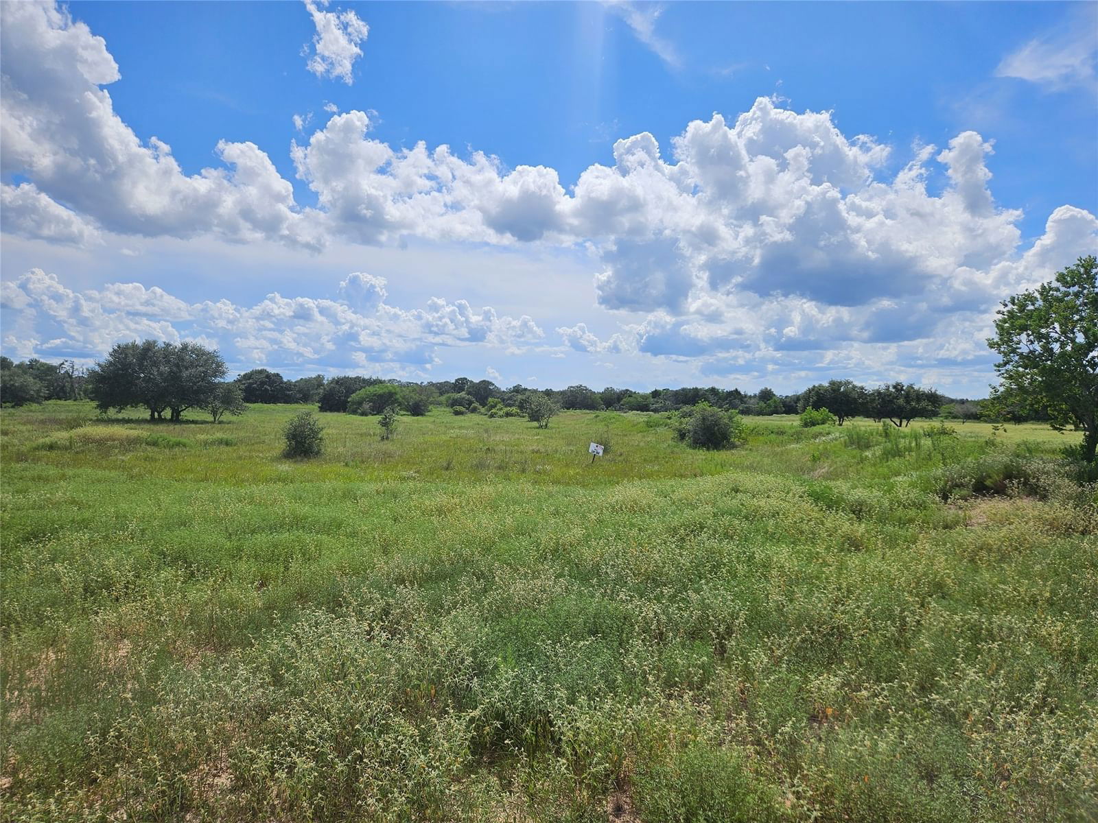 Real estate property located at LOT 184 TEAL LANE, Colorado, WILD WING PRESERVE, Columbus, TX, US