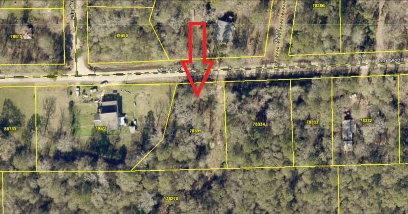 Real estate property located at Lot 14 Sherwood, San Jacinto, Sherwood Forest #1, Shepherd, TX, US