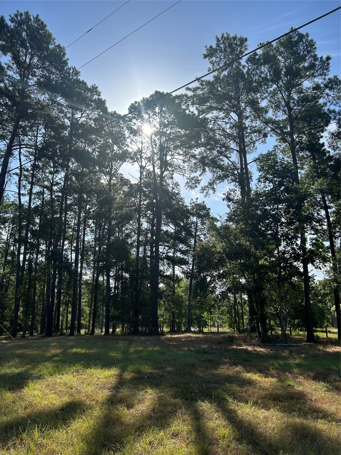 Real estate property located at 404142 Rob, Polk, Pinwah Pine Estates II Sec, Livingston, TX, US