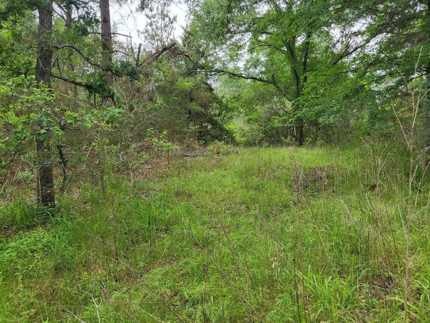Real estate property located at 32363 Fm 1736, Waller, RURAL, Hempstead, TX, US