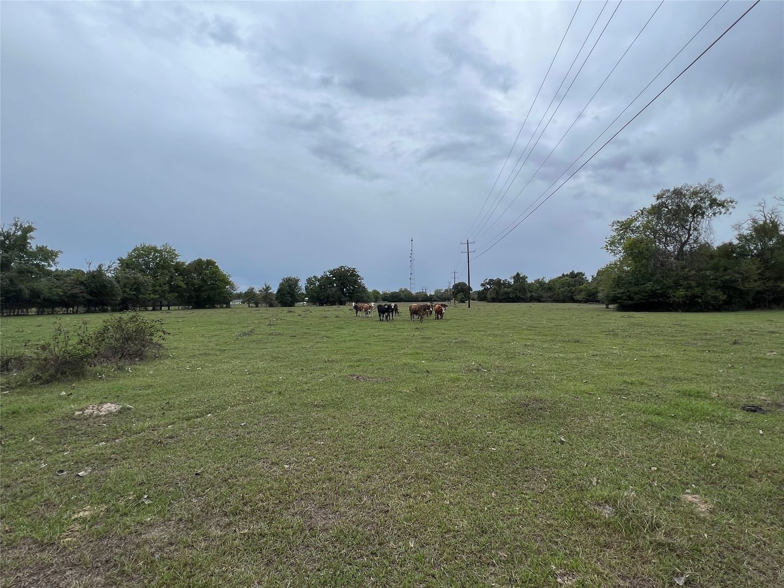 Real estate property located at Lot 6 County Road 166, Grimes, Other, Iola, TX, US