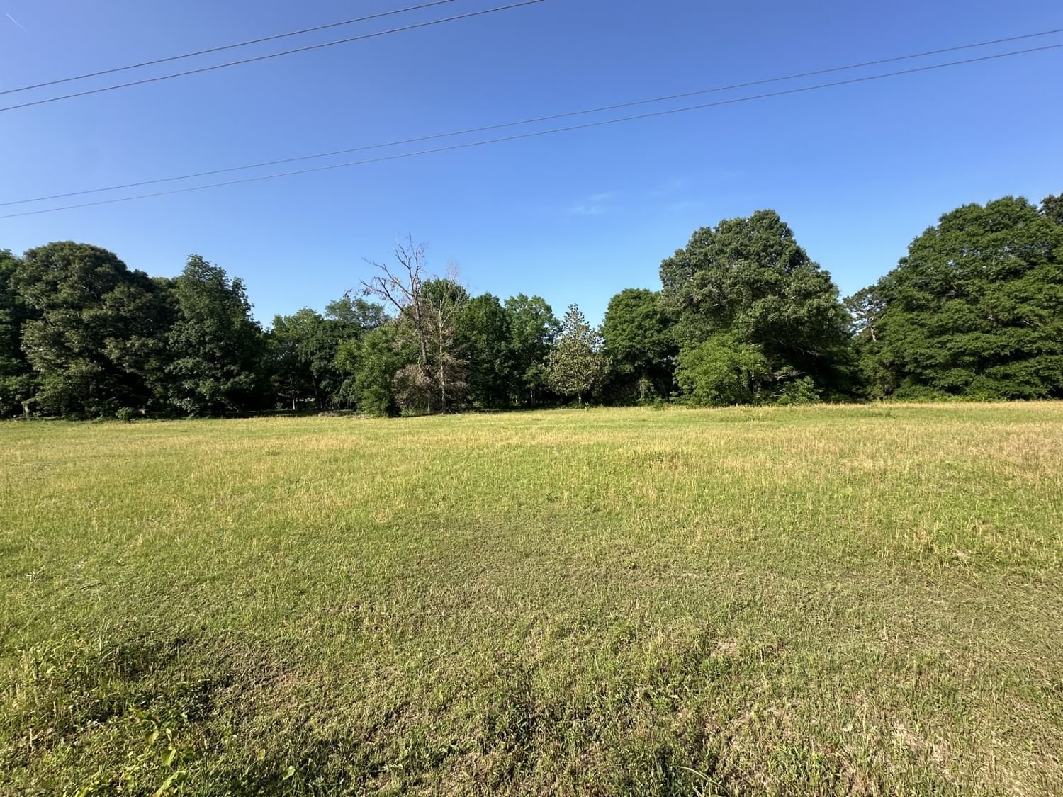 Real estate property located at TBD Andrew Jackson, Polk, Southland Plantation, Livingston, TX, US