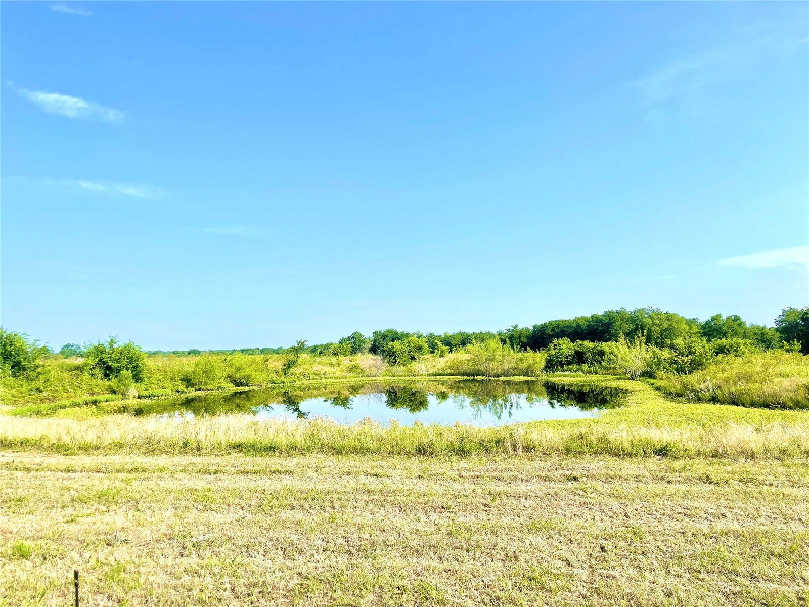 Real estate property located at tbd Hwy 171, Limestone, Mexia, TX, US