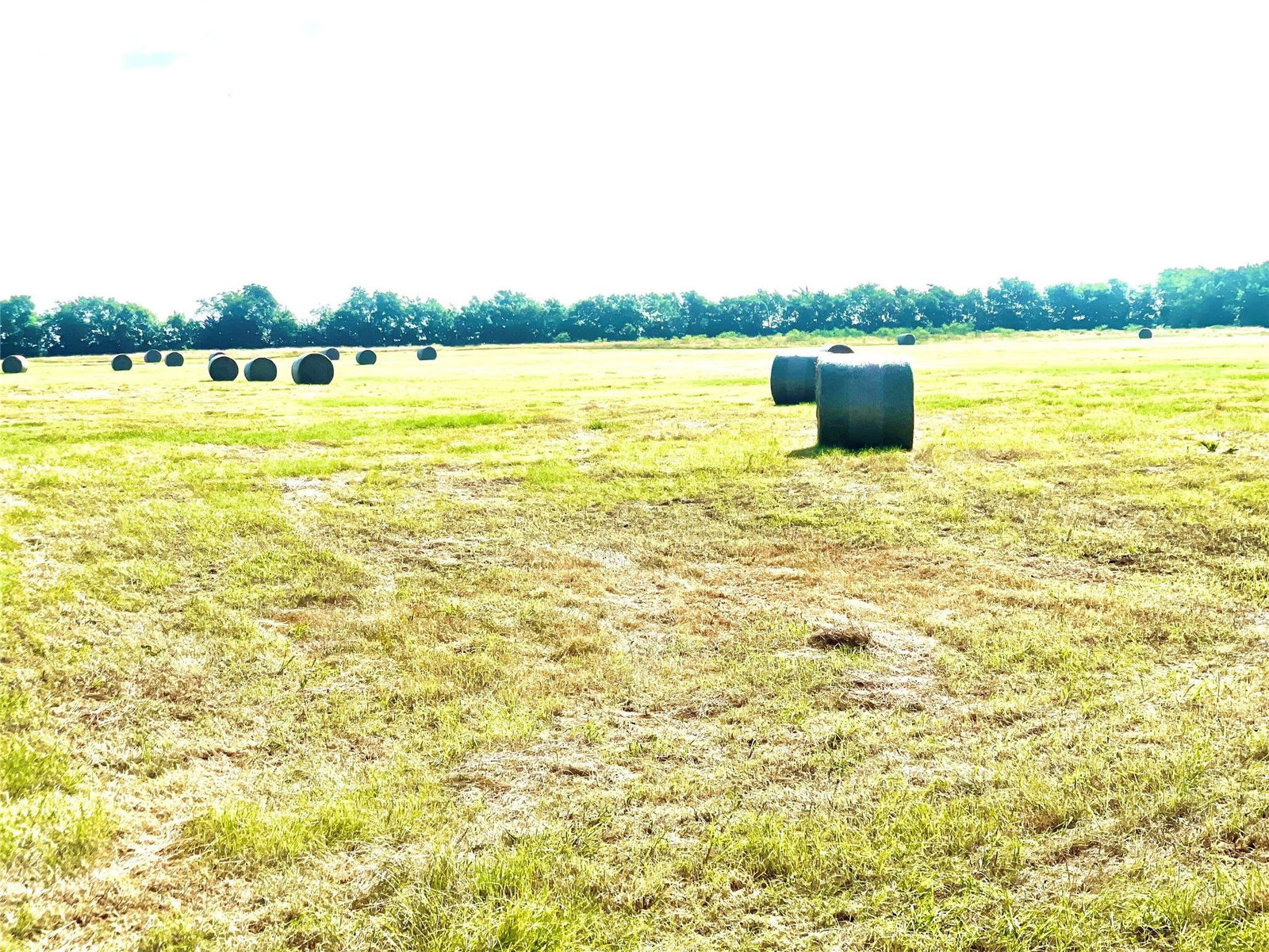 Real estate property located at tbd Hwy 171, Limestone, Mexia, TX, US