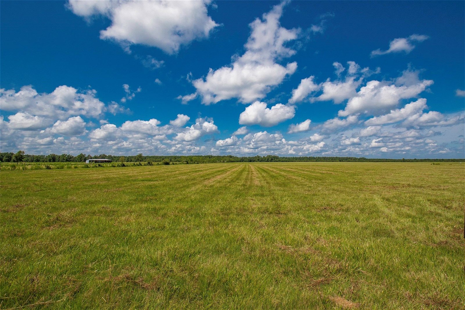 Real estate property located at TRACT 12 County Road 2285, Liberty, Cleveland, TX, US