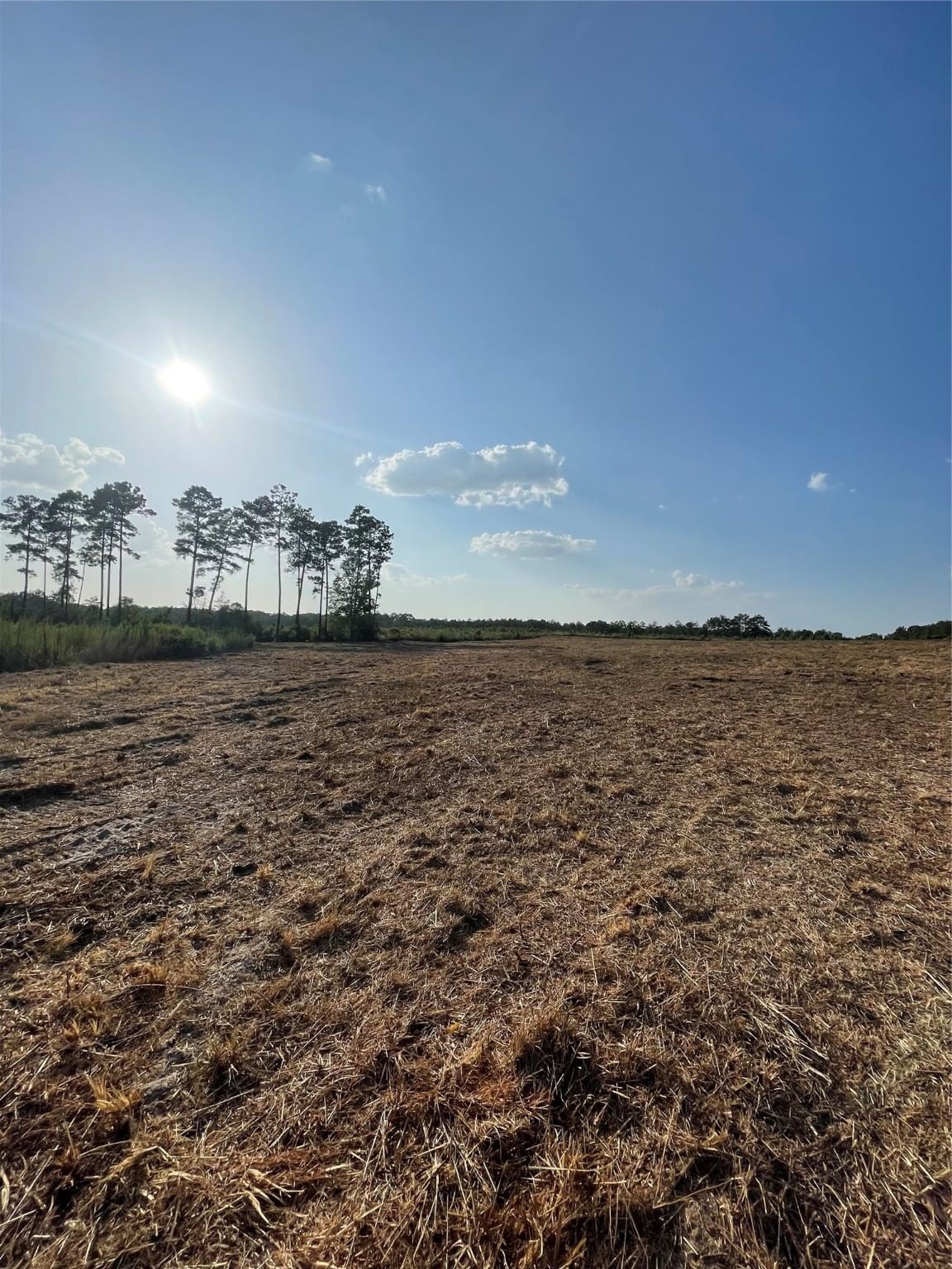 Real estate property located at 16 AC Hardin Hideout, Polk, Paces Creek, Moscow, TX, US