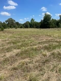 Real estate property located at 0 County Road 351, Freestone, N/A, Oakwood, TX, US