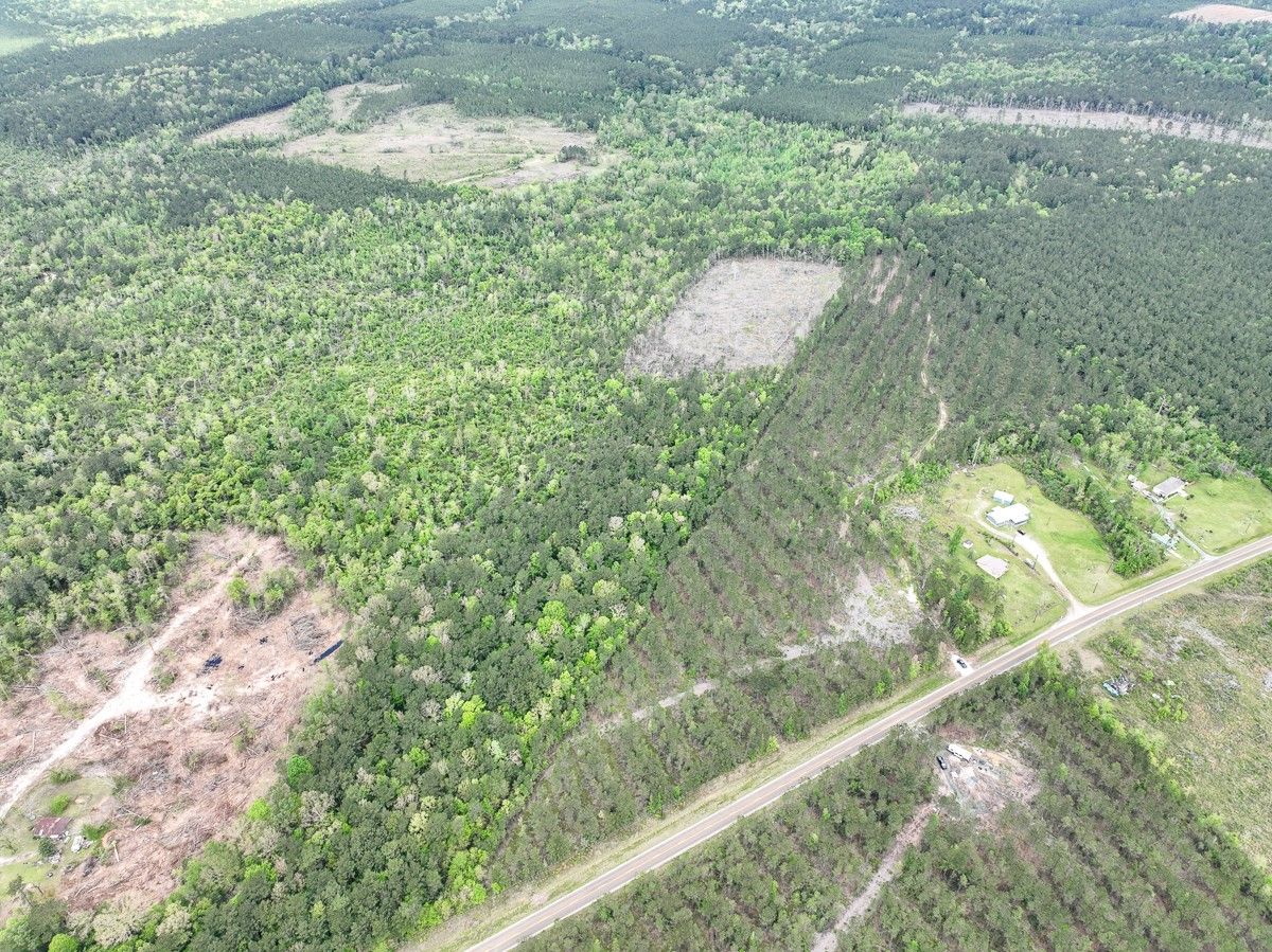 Real estate property located at 0 Fm 1012, Newton, Jamestown, TX, US