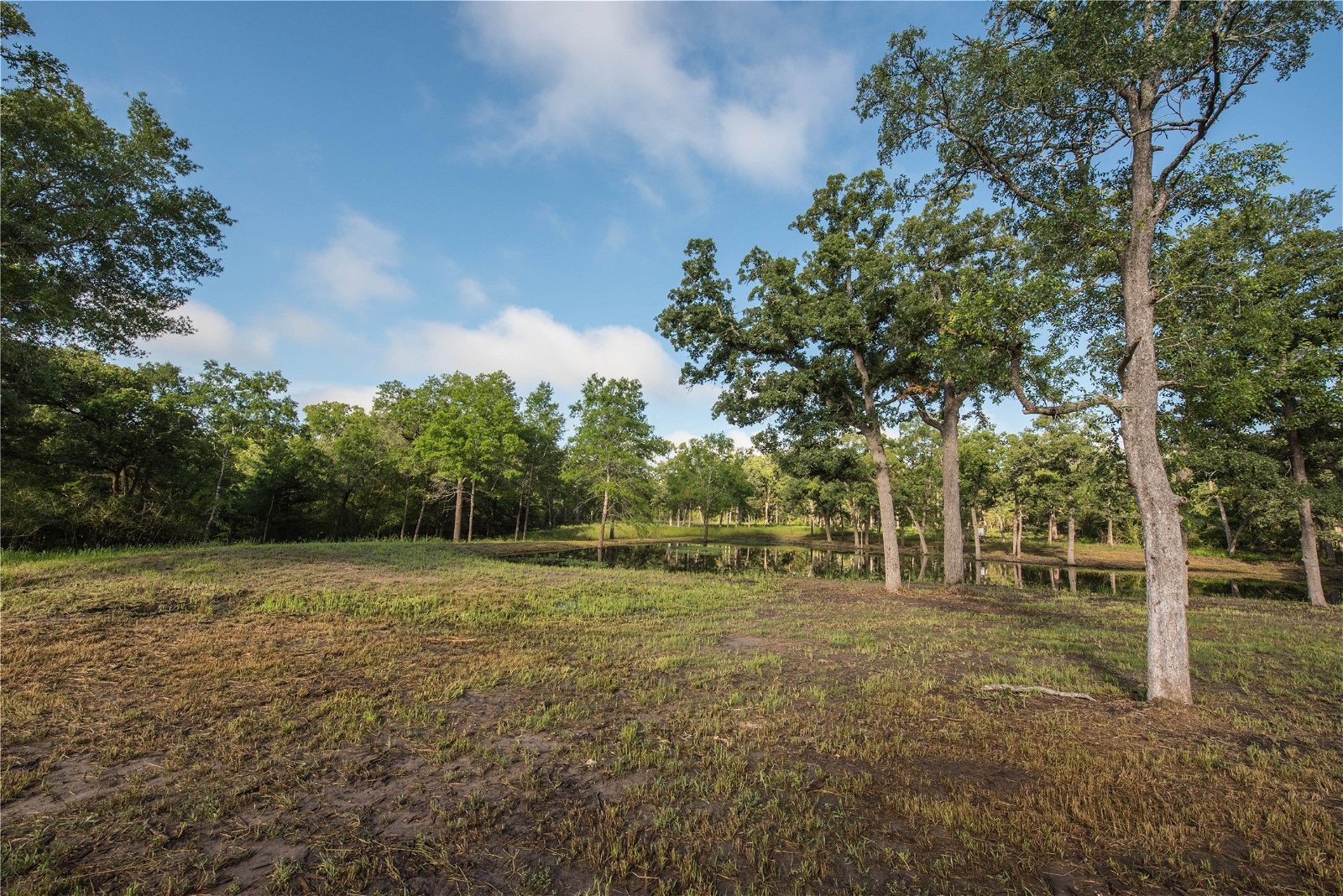Real estate property located at 11414 County Road 162 - 221 Acres, Burleson, Somerville, TX, US