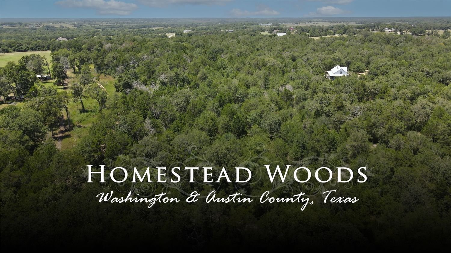 Real estate property located at TBD Homestead, Washington, Burton, TX, US