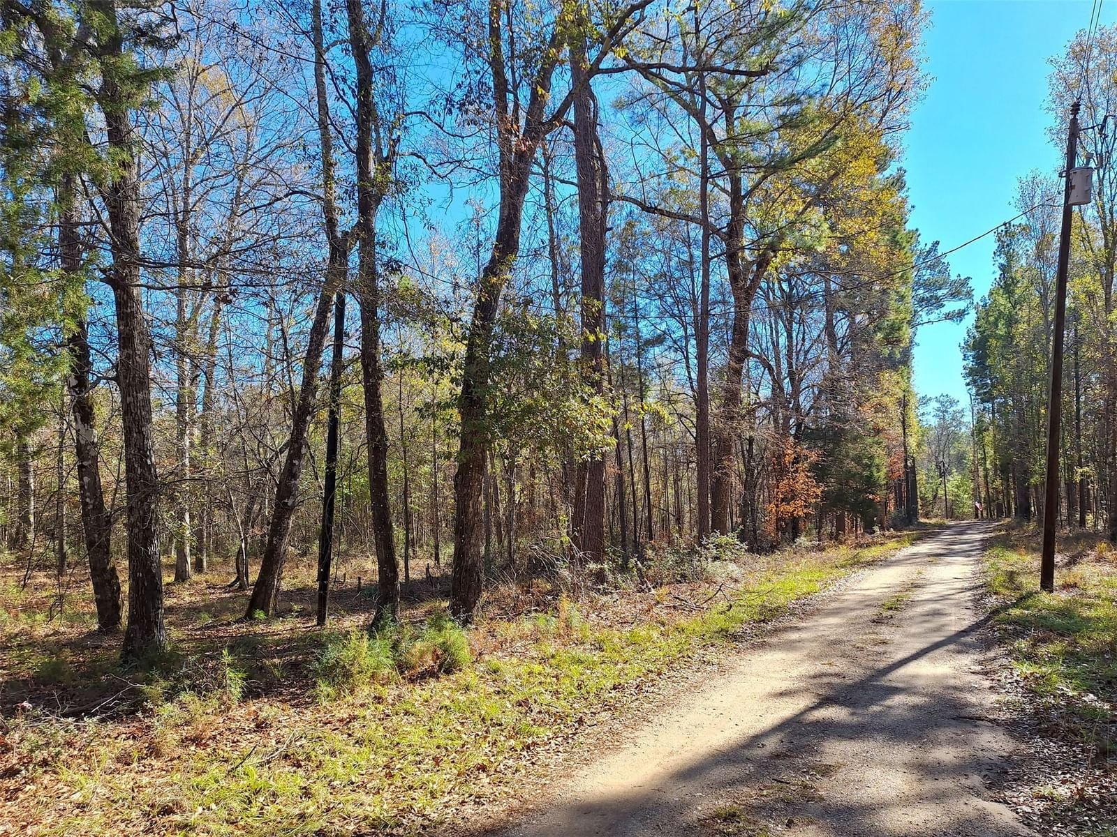 Real estate property located at tbd Pr 8060, Tyler, Push Creek, Woodville, TX, US
