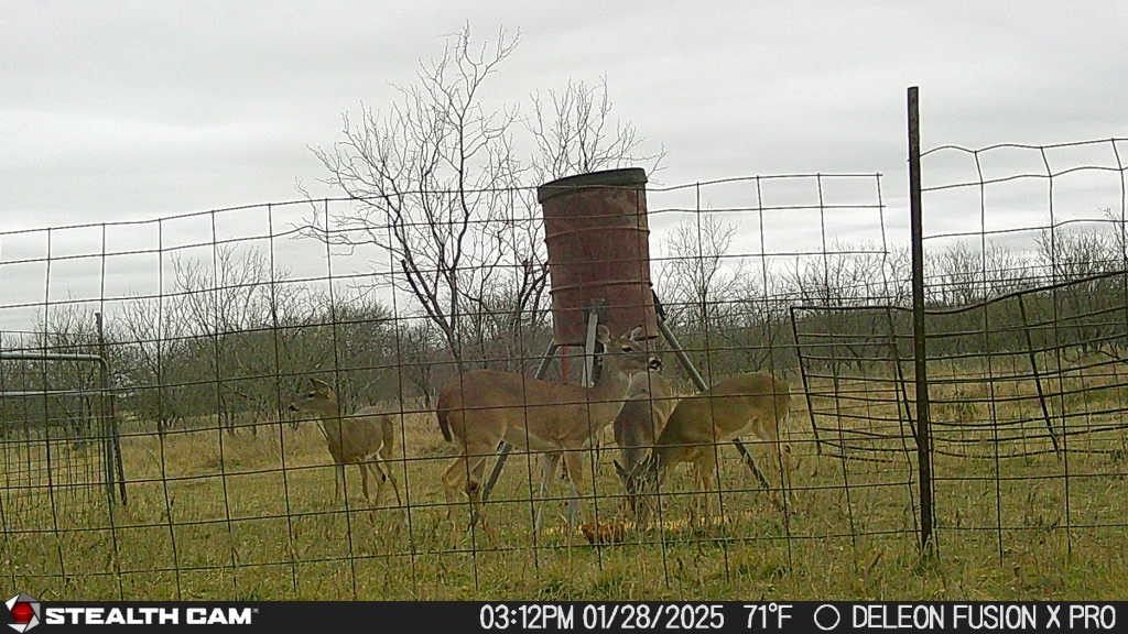 Real estate property located at 851 County Road 450, Comanche, Crawford, De Leon, TX, US