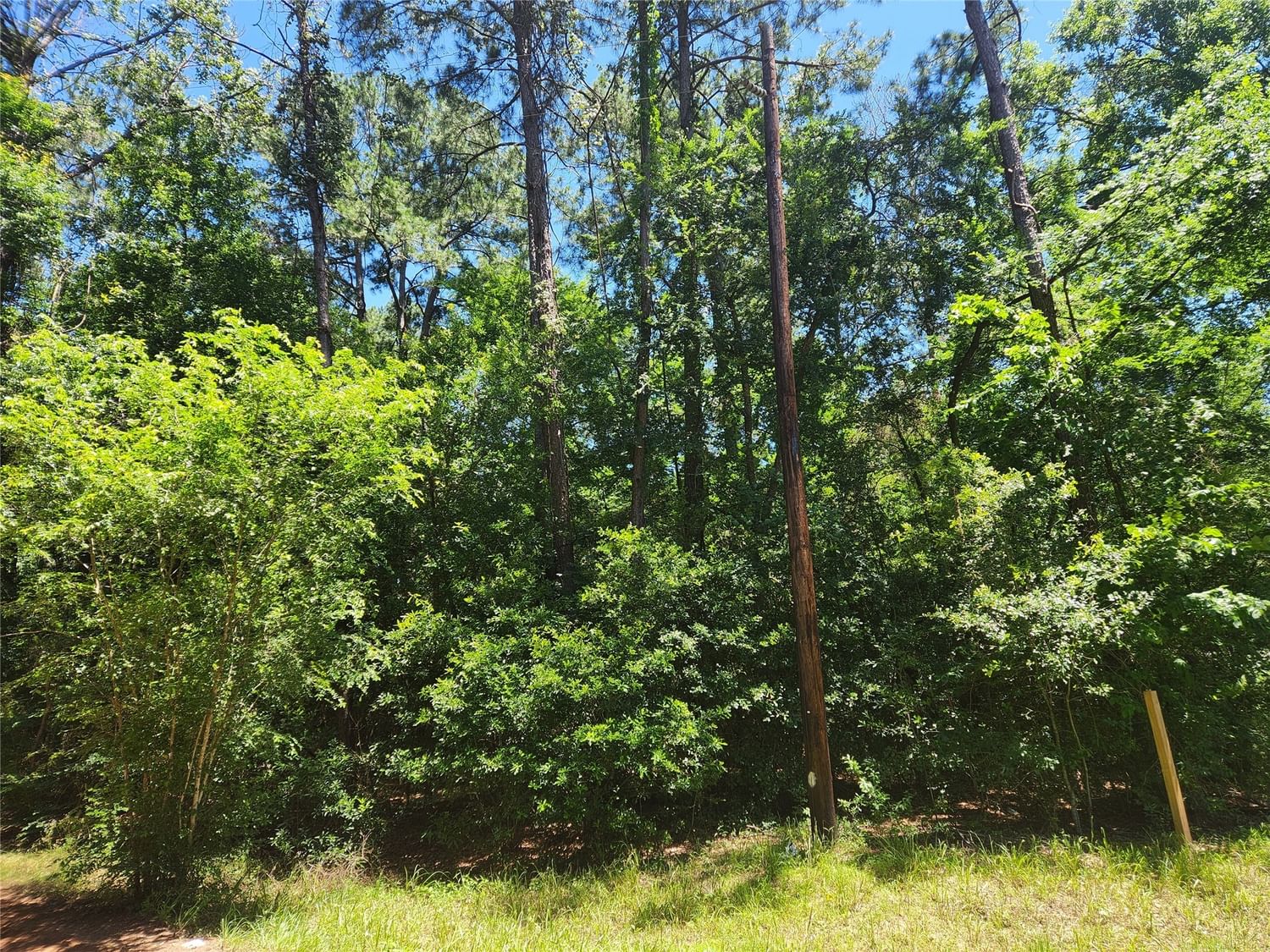 Real estate property located at Lot 1 Pineknoll, Grimes, Pinebrook, Plantersville, TX, US