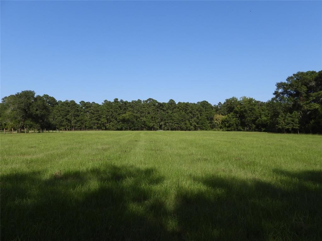 Real estate property located at TBD 2 Bethel, Montgomery, NA, Richards, TX, US