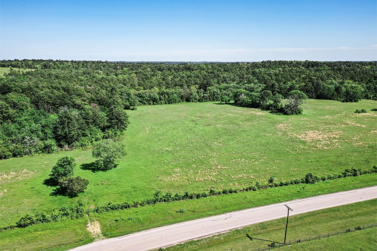 Real estate property located at 55 Acres FM 946 N, San Jacinto, none, Oakhurst, TX, US